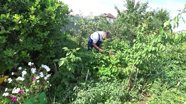 Влог от 06.08.2022