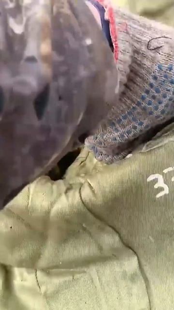 Нашёл форму солдата СССР #поиск #находка #мусорка #помойка #свалка #находки #заработок #барахолка