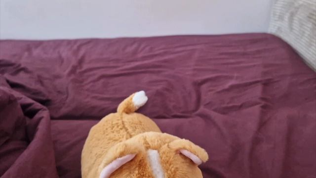 Никита-100 подписчиков (клип на 100 подписчиков)