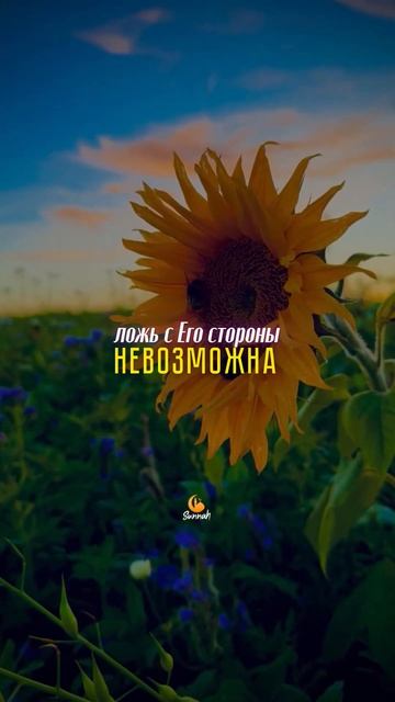 🕌Обещания Аллаха рабам своим!