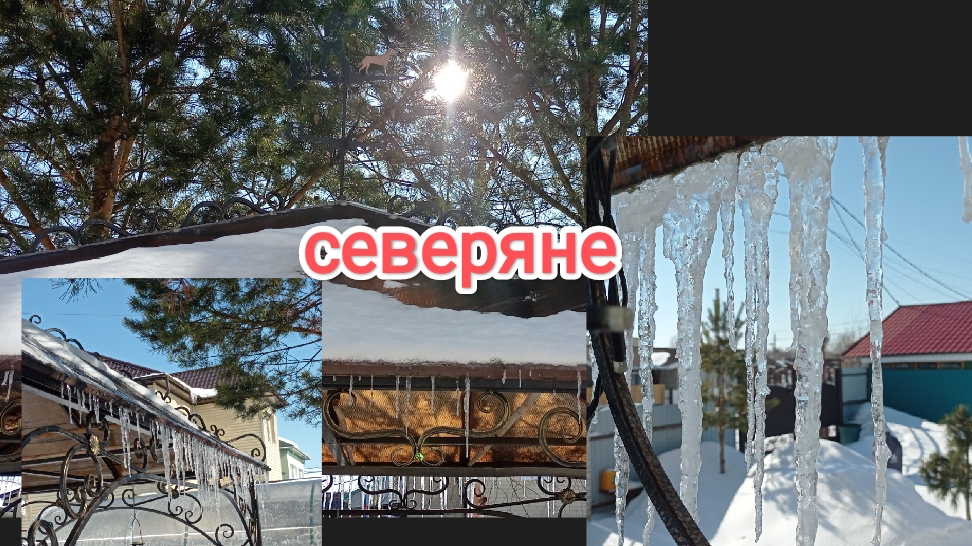 жизнь на крайнем севере/опять снег/куры/бассейн