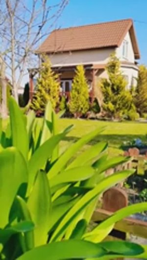 Вот как выглядит моя весна