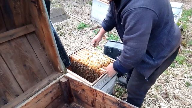 информация по маткам