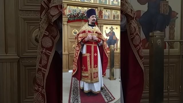 Фомина неделя. Уроки сомнения и уверения Фомы. Проповедь о. Вячеслава. 19.4.26