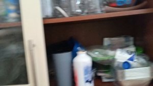 1 часть сажаю маленькую веточку