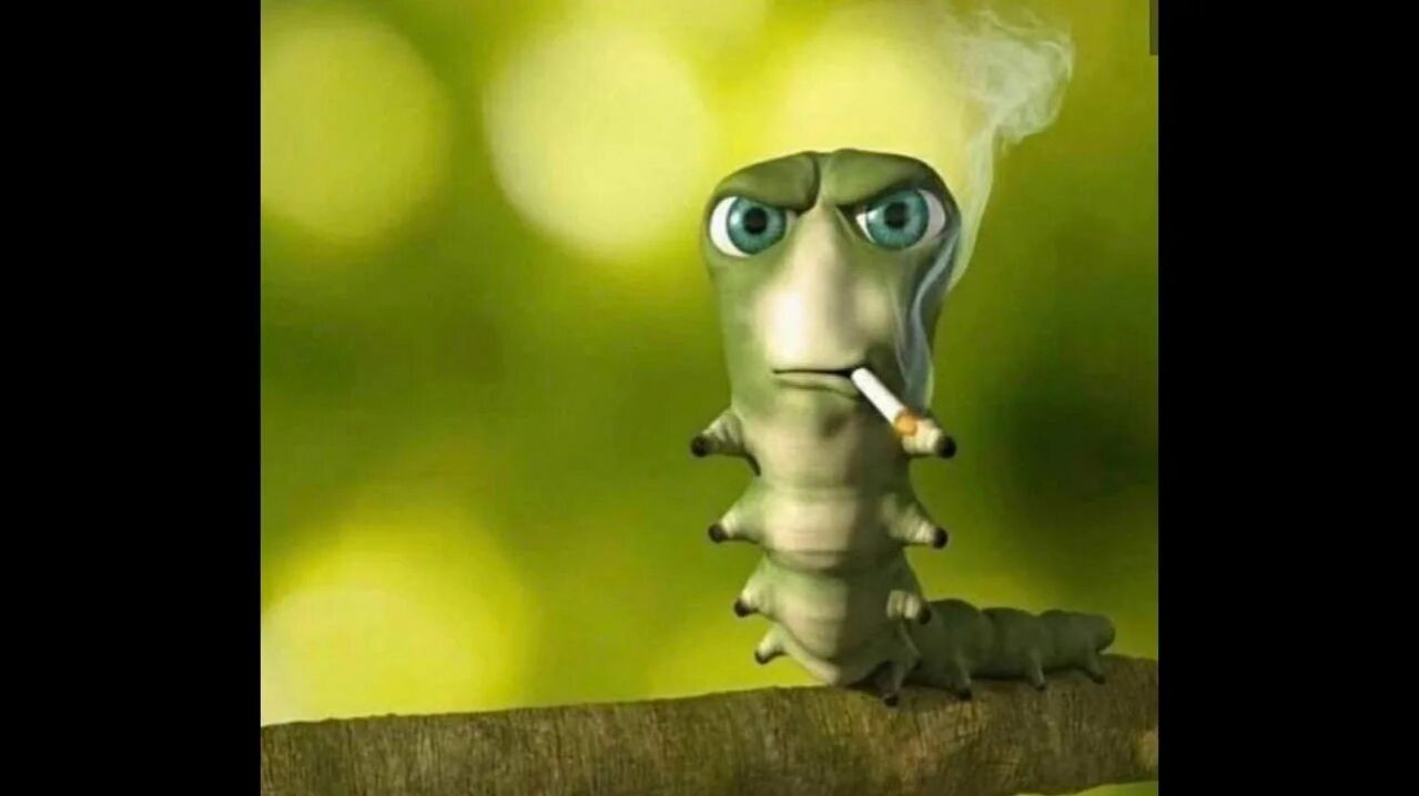 Сру на голову врагу))