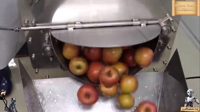 100% Чистый Яблочный Сок: Как Его Делают на Корейском Заводе!🍎
