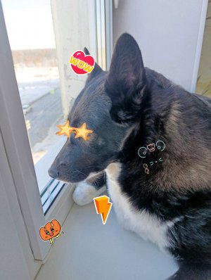 Берём интервью у Норика❤️