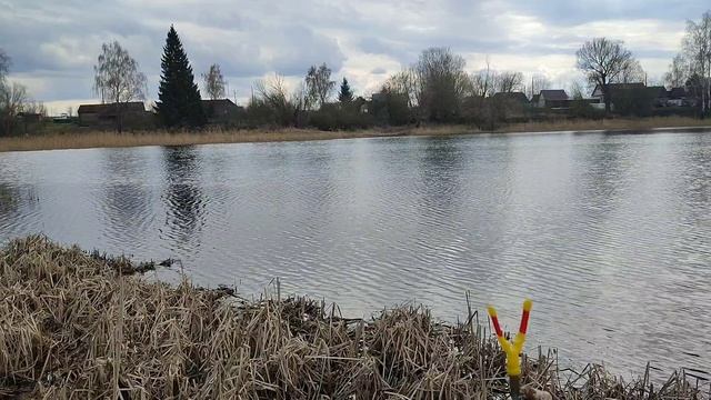 🥾ФИШТУР, с. Ильинское, Орловская область.