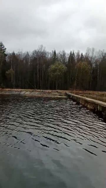 Водная стихия. Плотина в Марий Эл