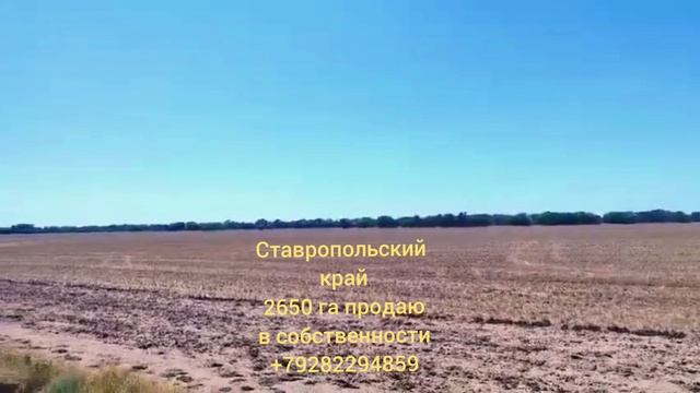 1000336408.mp4