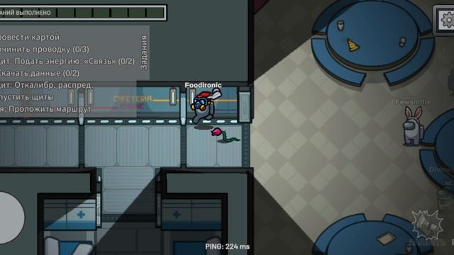 Амонг Ас (видео без голоса)