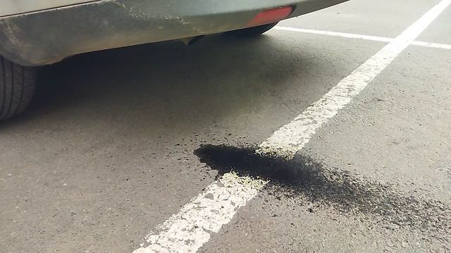 Форд фокус 2 черный выхлоп VID_20260419_122924