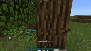 SVID_20260419_084629_1.mp4