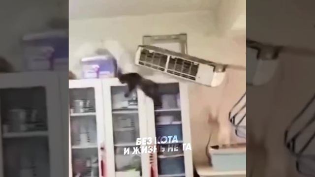 VID_20260419_123405_119.mp4