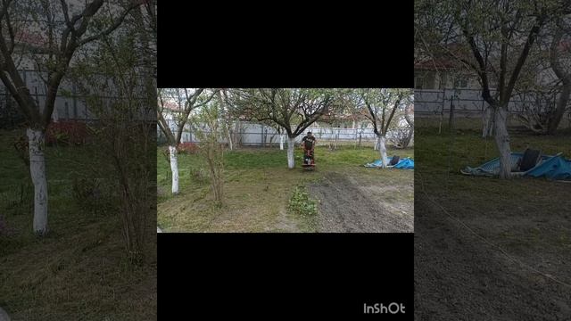 19.04.26
Забрали культиватор из ремонта, пробуем запустить. Наши животные-любимки☺