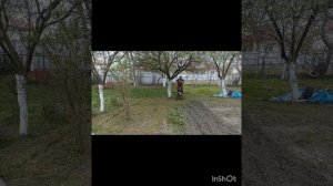 19.04.26
Забрали культиватор из ремонта, пробуем запустить. Наши животные-любимки☺