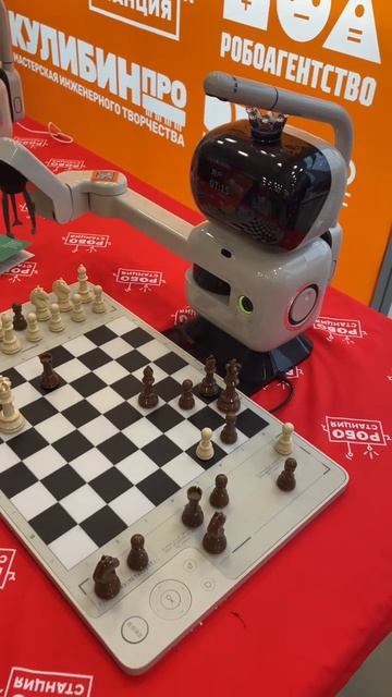 Напарник по шахматам