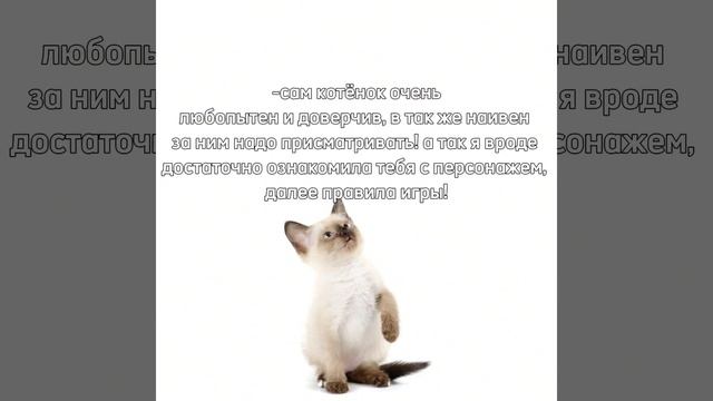 Хех, ну я хочу попробовать) ОПИСАНИЕ ЧИТАТЬ!