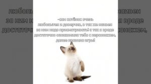 Хех, ну я хочу попробовать) ОПИСАНИЕ ЧИТАТЬ!