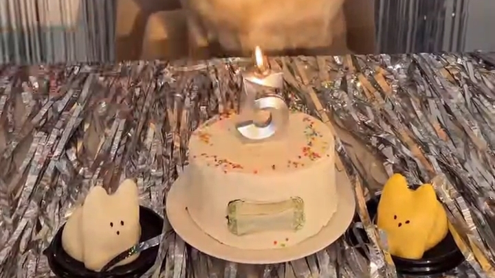 у дени исполнилось 5 лет