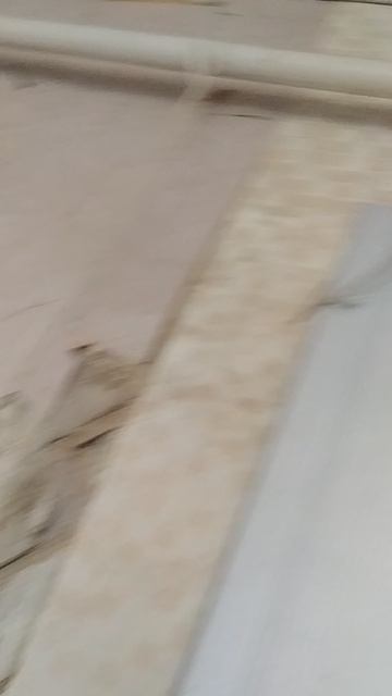 Во-первых вернёмся в исходное.