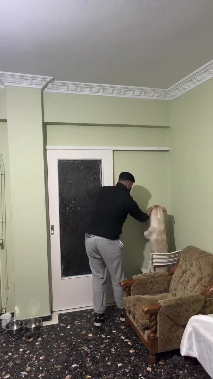 Помoщник 100 лвл 🤓