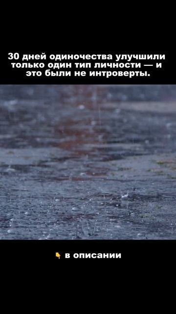 30 дней одиночества