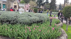 г. Пятигорск. парк Цветник 19 апреля 2026г.