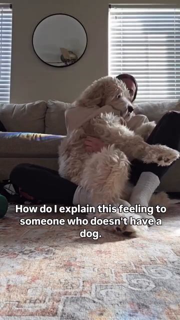 Хочу обнимашек🤗))