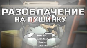 РАЗОБЛАЧЕНИЕ НА ПУШИНКУ! ОБМАН И ПОФИГИЗМ В ЧИКЕН ГАНЕ! Chicken gun/Чикен ган