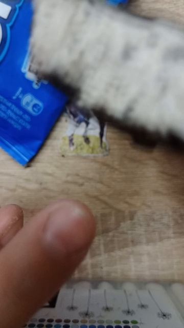 пробую мороженое