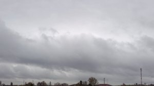 погода в Таловой, Воронежская область 19-04-2026