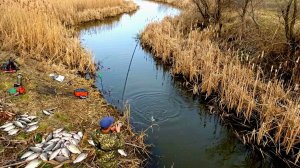 ЗАБЫТЫЙ РУЧЕЙ ПОЛНЫЙ КРУПНОЙ РЫБЫ рыбалка весной на поплавок