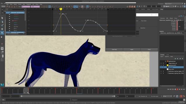 4. Fine Tuning The Dog Walk Cycle