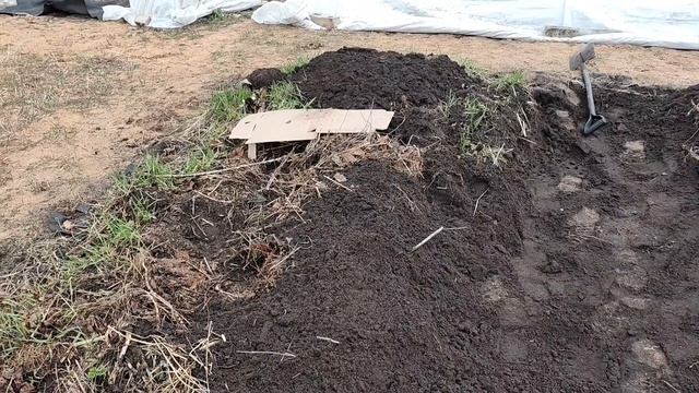 18-19.04.2026 работа с землёй и уборка территории. посадка капусты и полив зелени. Обшивка угла дома