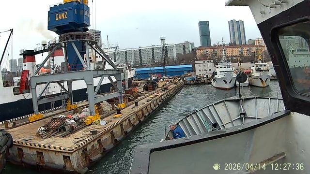 Рыбный день 1