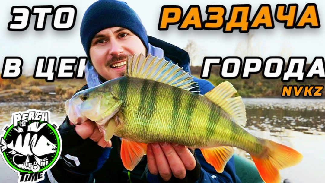 ПРОСТО КАЙФ🔥ПОПАЛ НА РАЗДАЧУ ОКУНЯ ПРЯМО В ЦЕНТРЕ ГОРОДА🤯 #рыбалка #микроджиг #джиг #окунь #daiwa