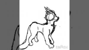 типо анимация