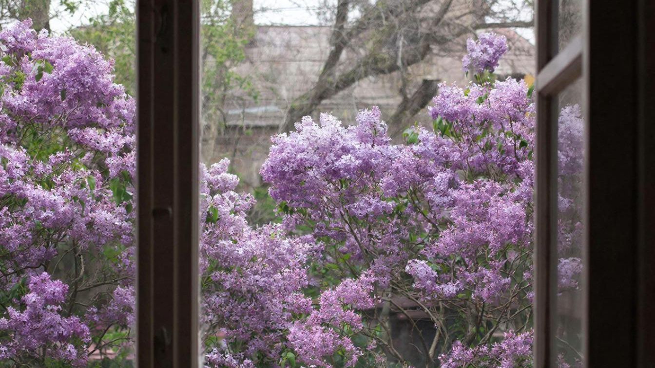 За окном сирень цвела, Лена вскоре родила, малыша назвали Сашей, вот такие, брат, дела...