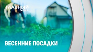 Время наводить порядок на приусадебных участках! Что сейчас в трендах у дачников?