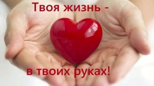 Всё в твоих. Хорошая песня