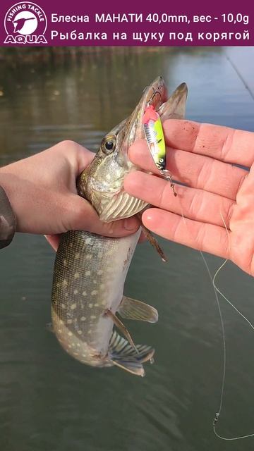 Для рыбалки на щуку, окуня, судака и других хищных рыб - блесна МАНАТИ