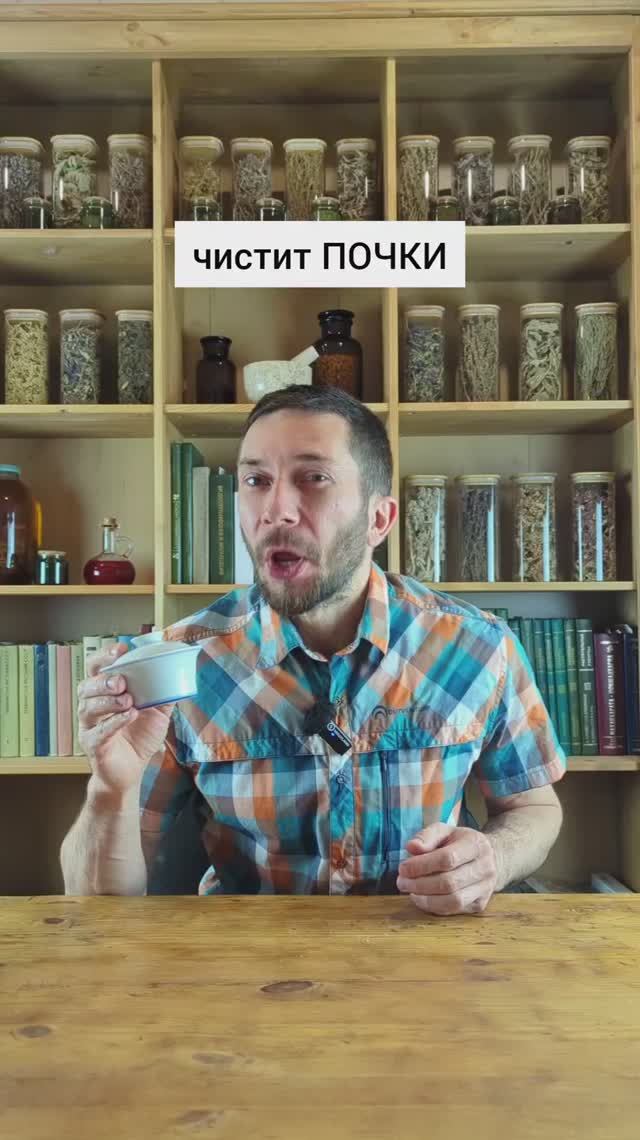 Чистит почки и мочевые пути