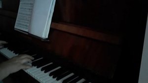 IMG_20251228_173615_064.mp4