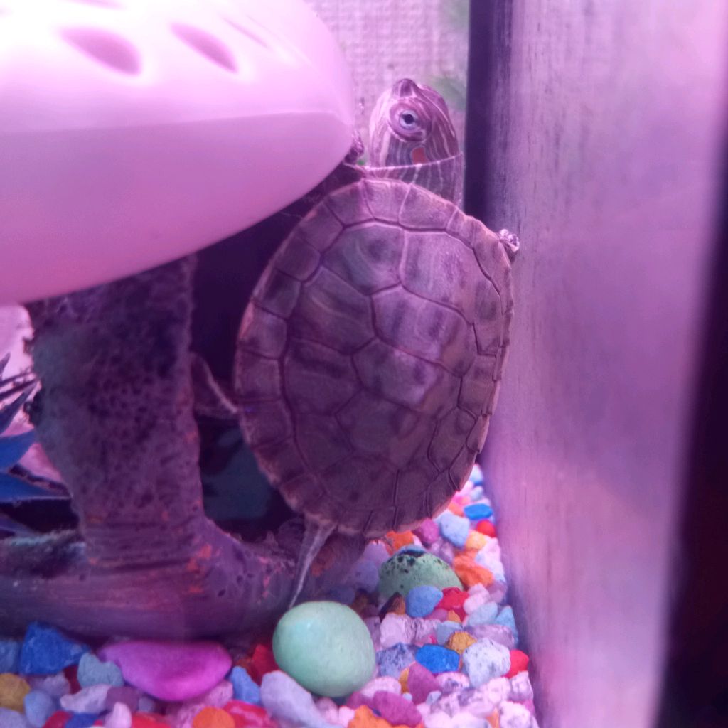 пробуем фигню