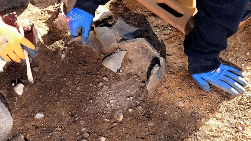 Туфли XII века с надписями нашли археологи в Новгородской области