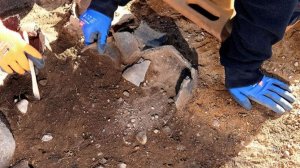 Туфли XII века с надписями нашли археологи в Новгородской области