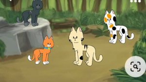 стань диким / коты воители / часть 3