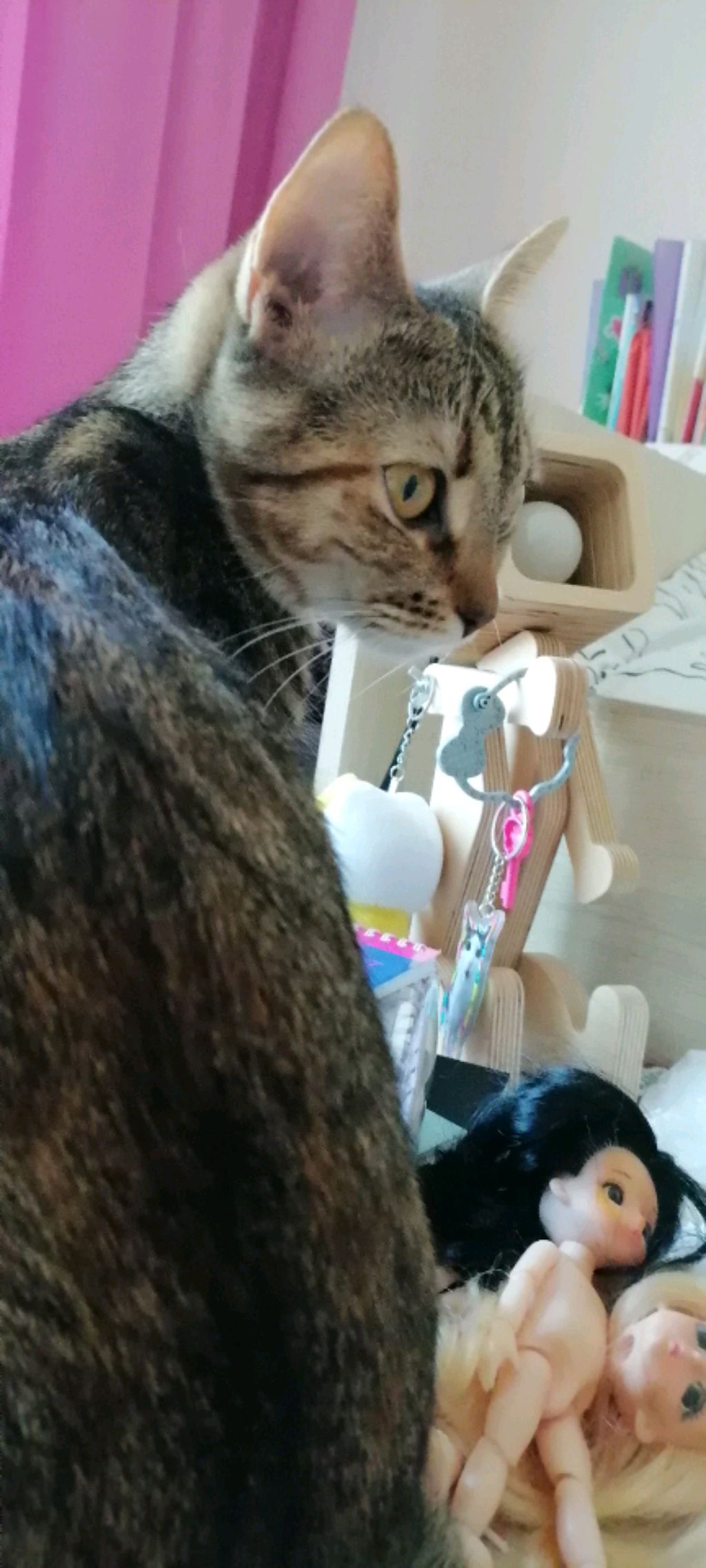 у Тима в гостях